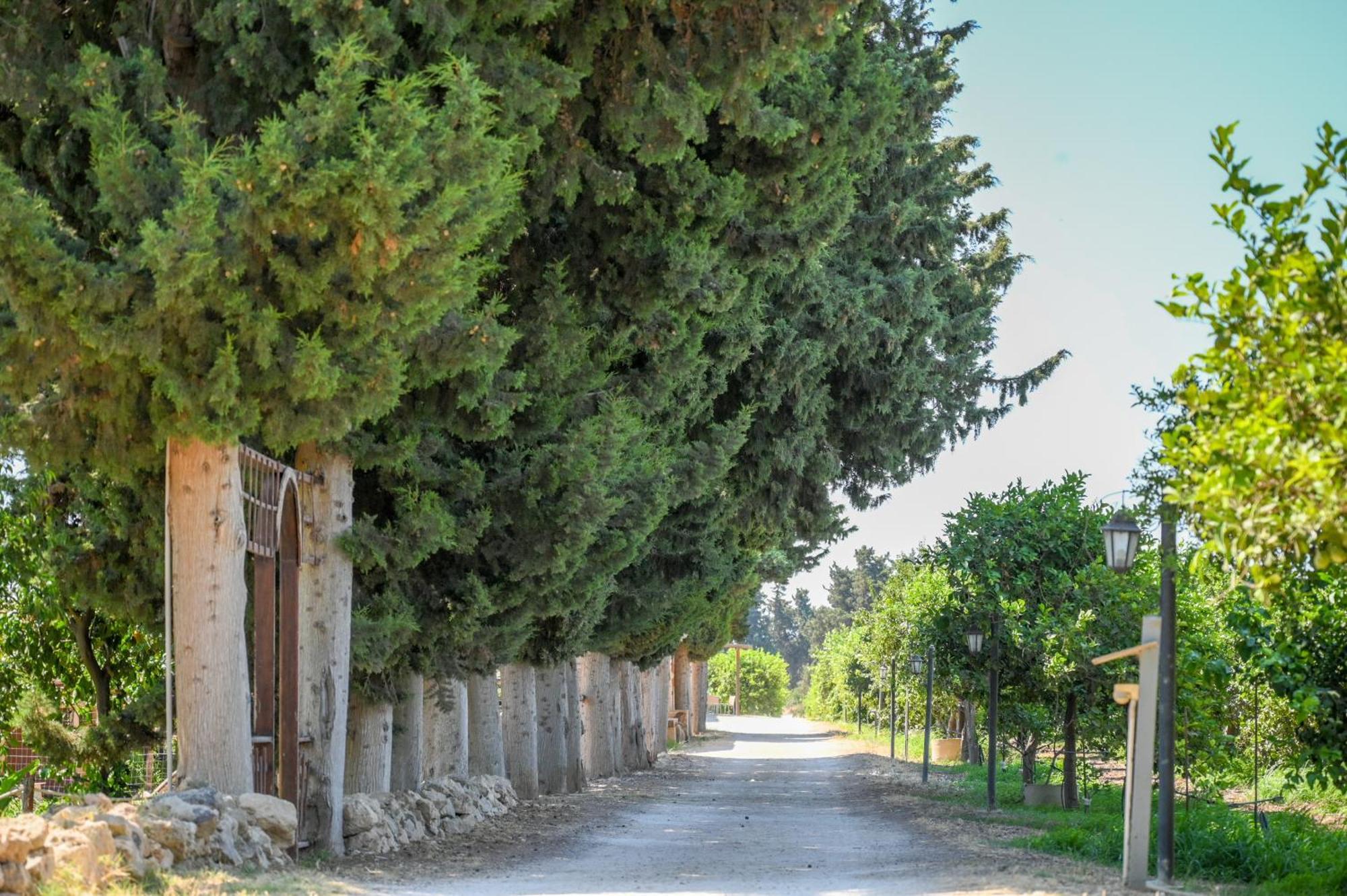 Agriturismo Torre Vendicari Noto Esterno foto